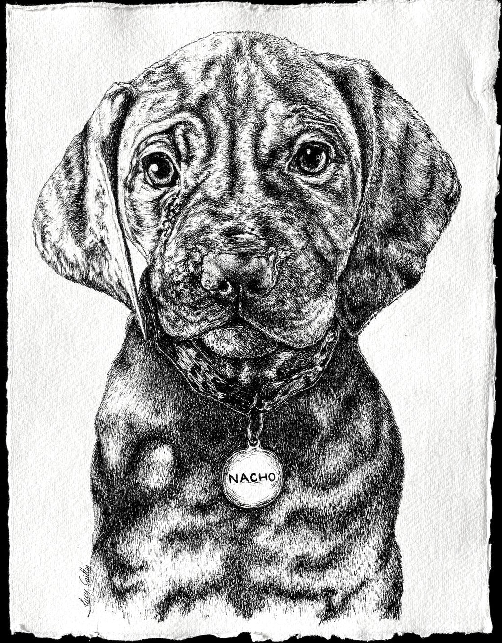 A4  Pet Portrait Commission image 0