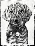 A4  Pet Portrait Commission image 0