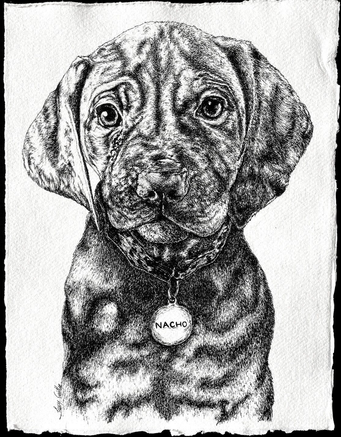 A4  Pet Portrait Commission image 0