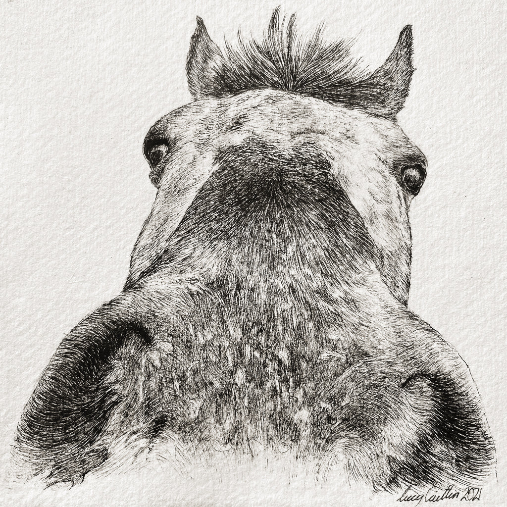 15cm Square Pet Portrait Commission image 8