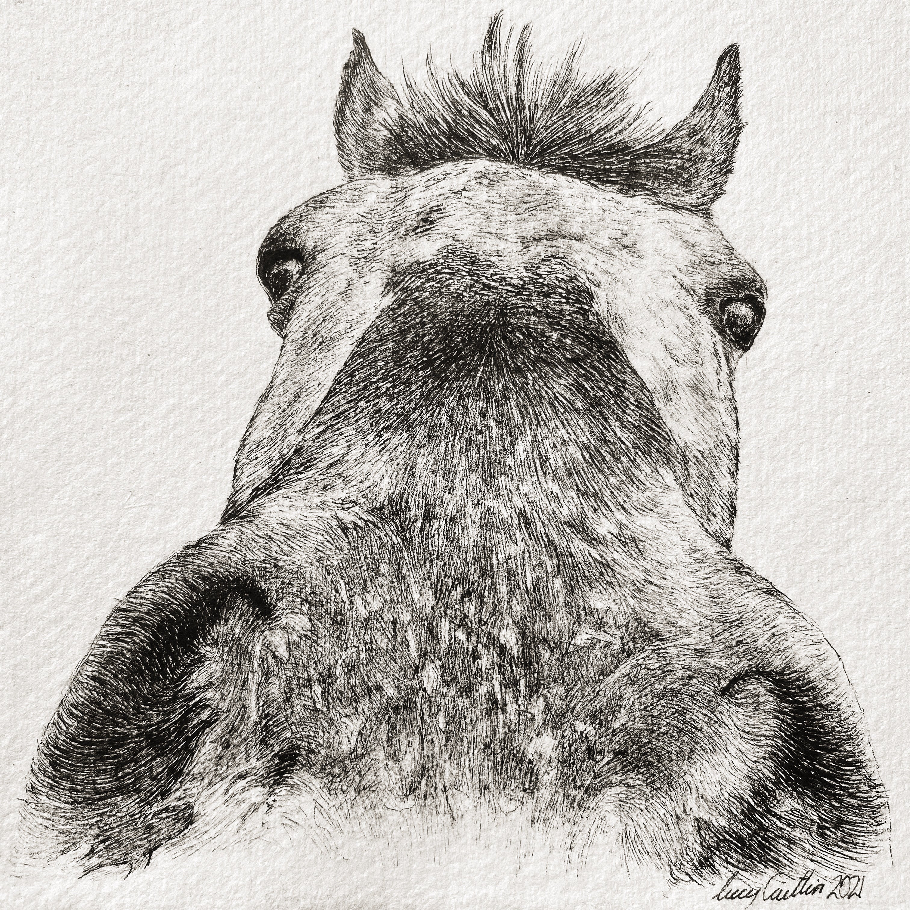 15cm Square Pet Portrait Commission image 8