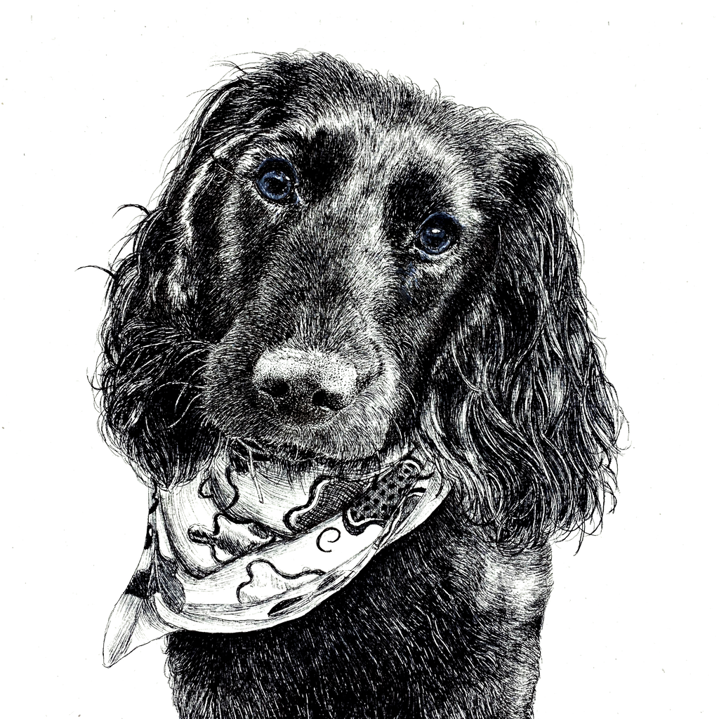 A3  Pet Portrait Commission image 4