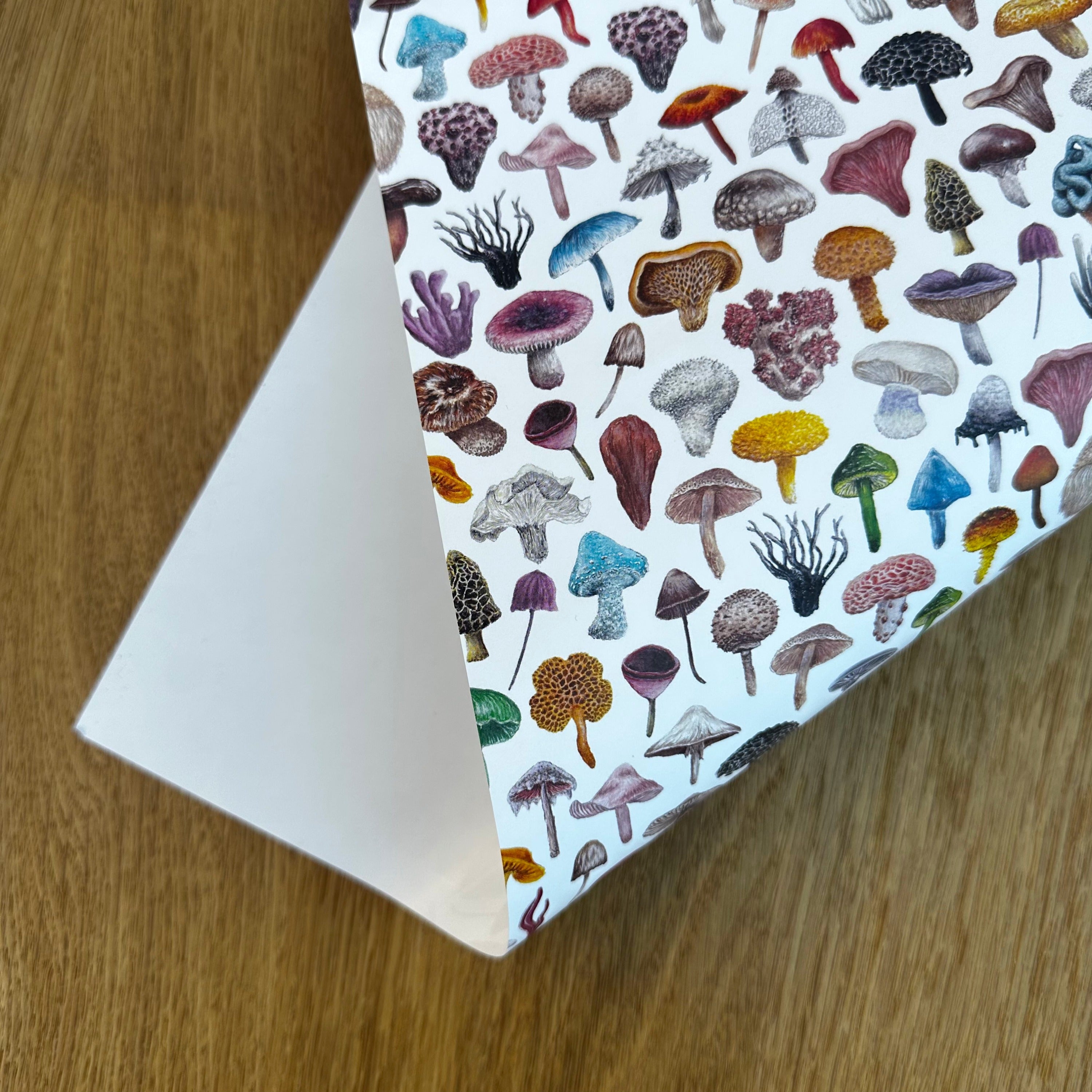 Mini Mushrooms Gift Wrap and Tag image 1