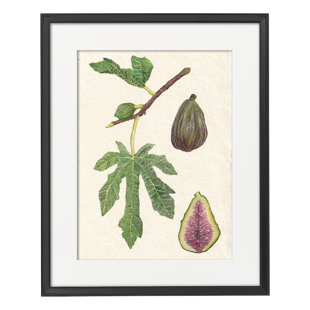 Botanical Painting Commission image 1