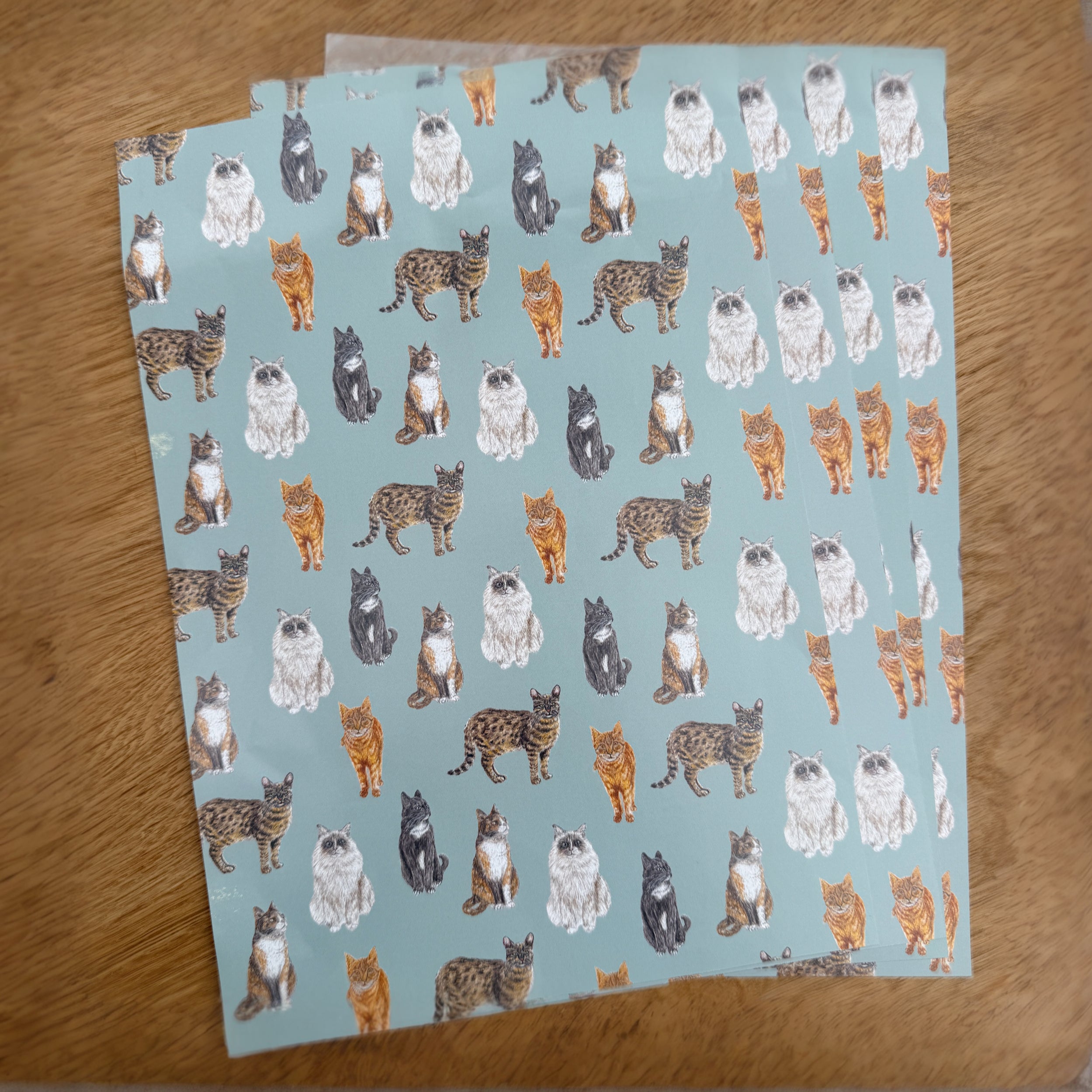 Cats A4 Patterned Paper - Set of 4 image 1