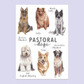 Pastoral Dogs A5 Print image 0