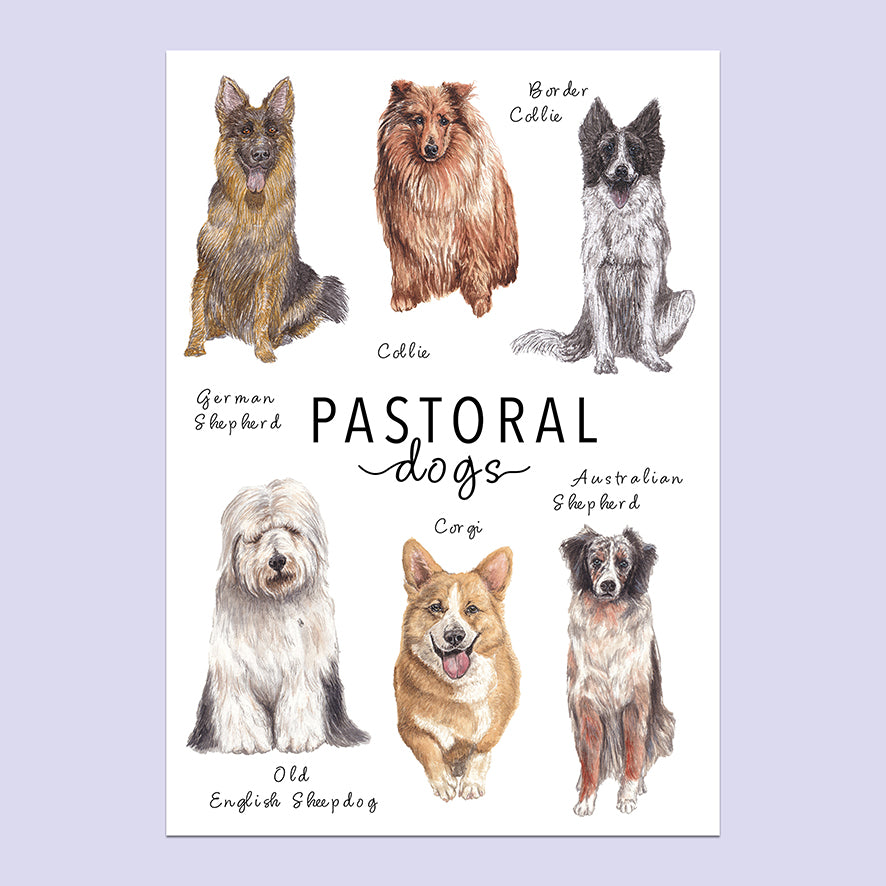 Pastoral Dogs A5 Print image 0