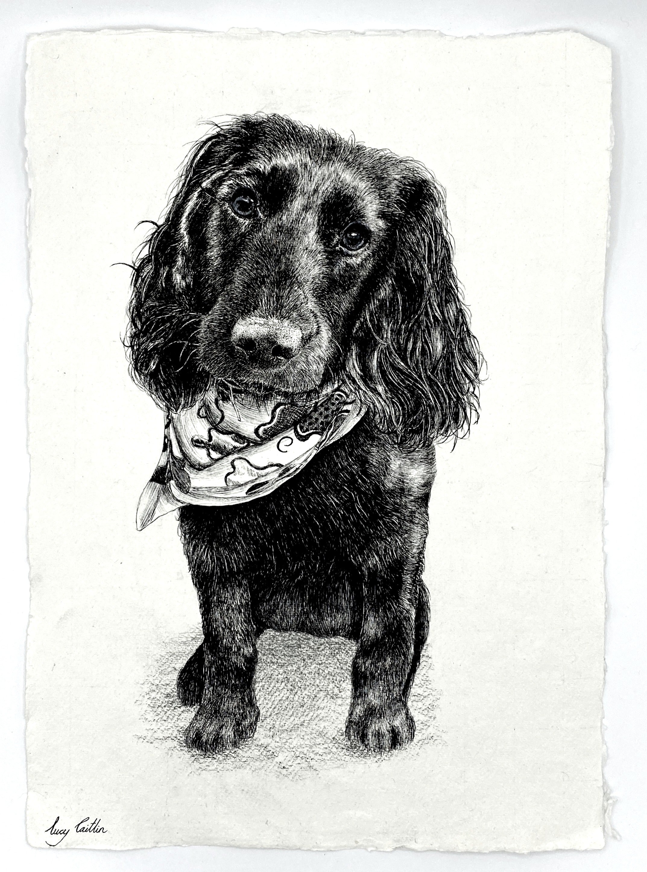 A3  Pet Portrait Commission image 1