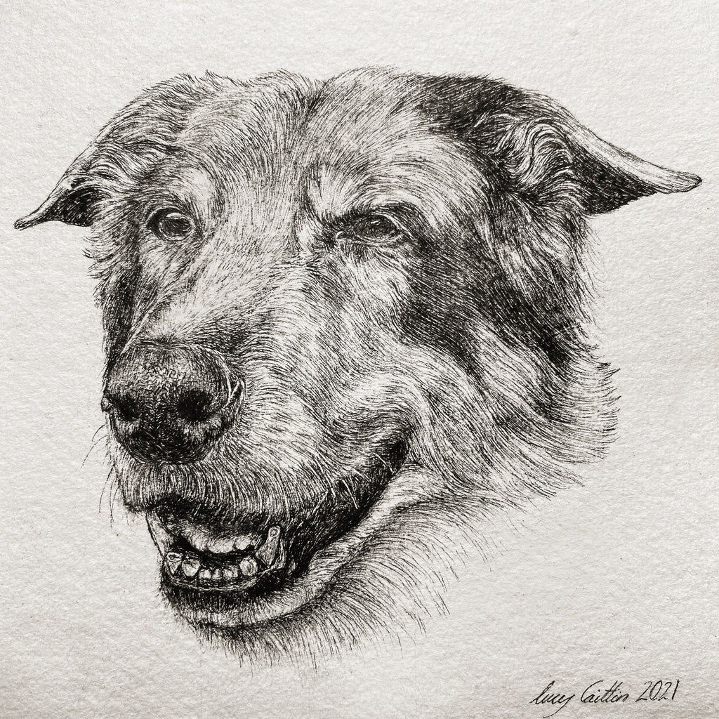 15cm Square Pet Portrait Commission image 10