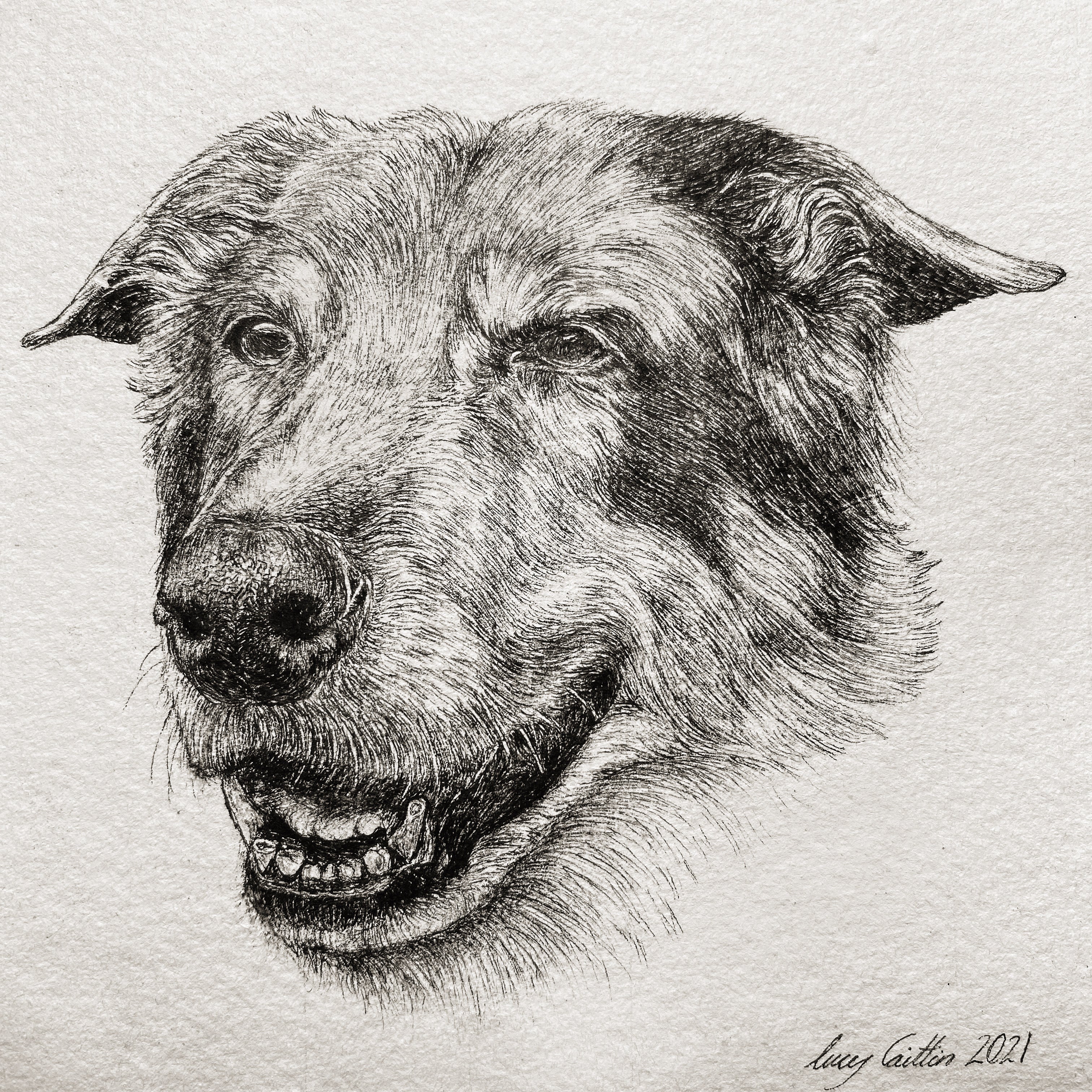 15cm Square Pet Portrait Commission image 10