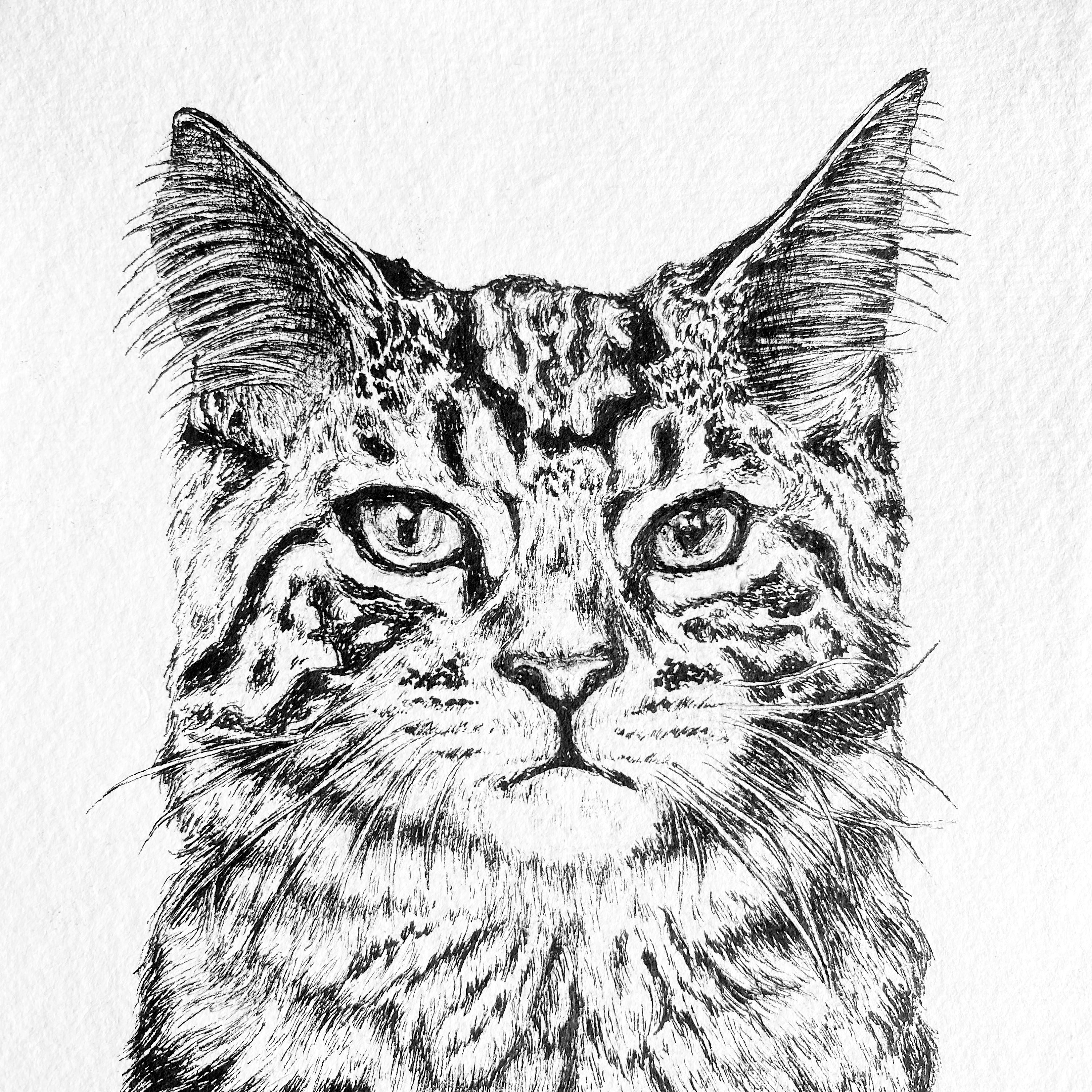 A5 Pet Portrait Commission image 9