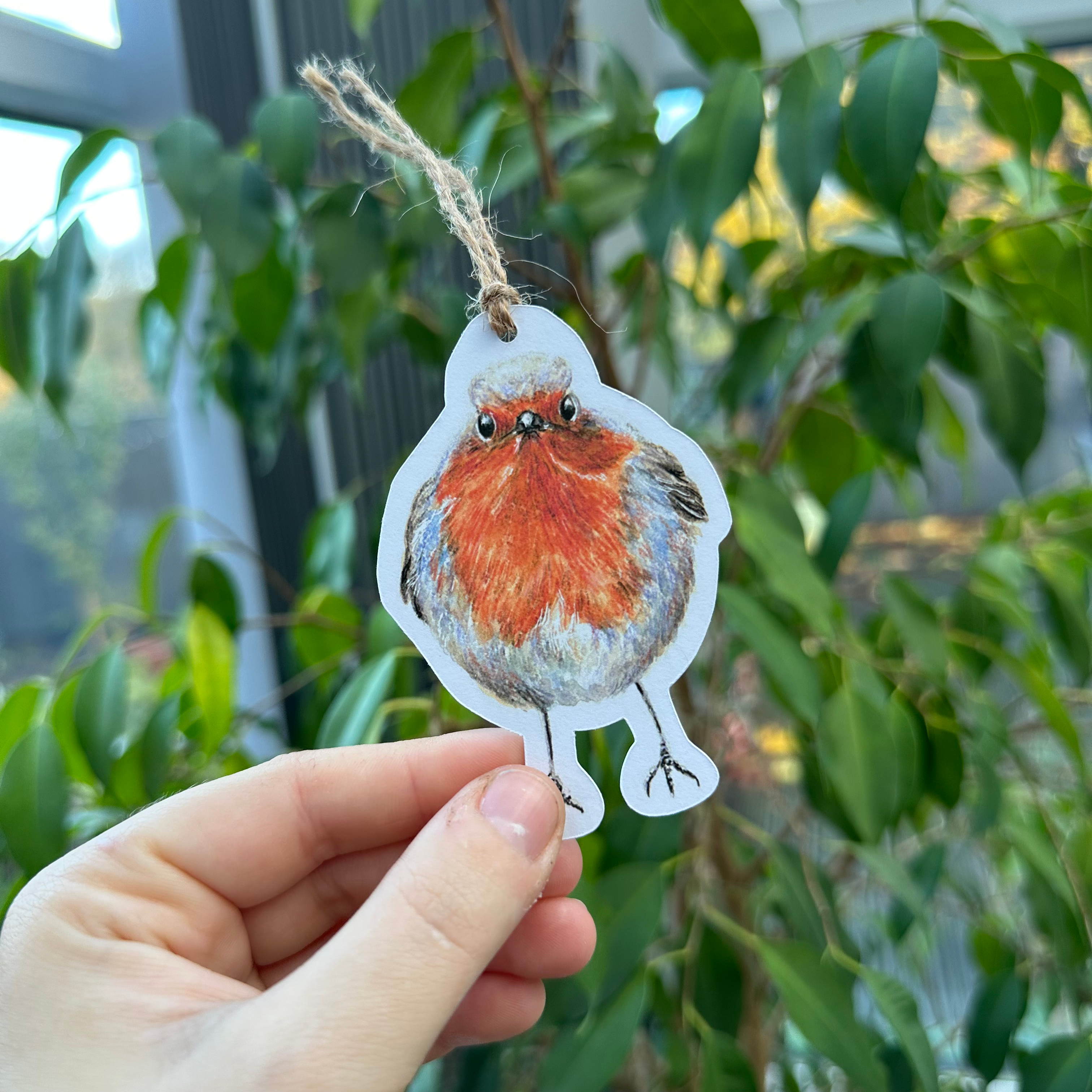 Robin - Pack of 3 Gift Tags image 0