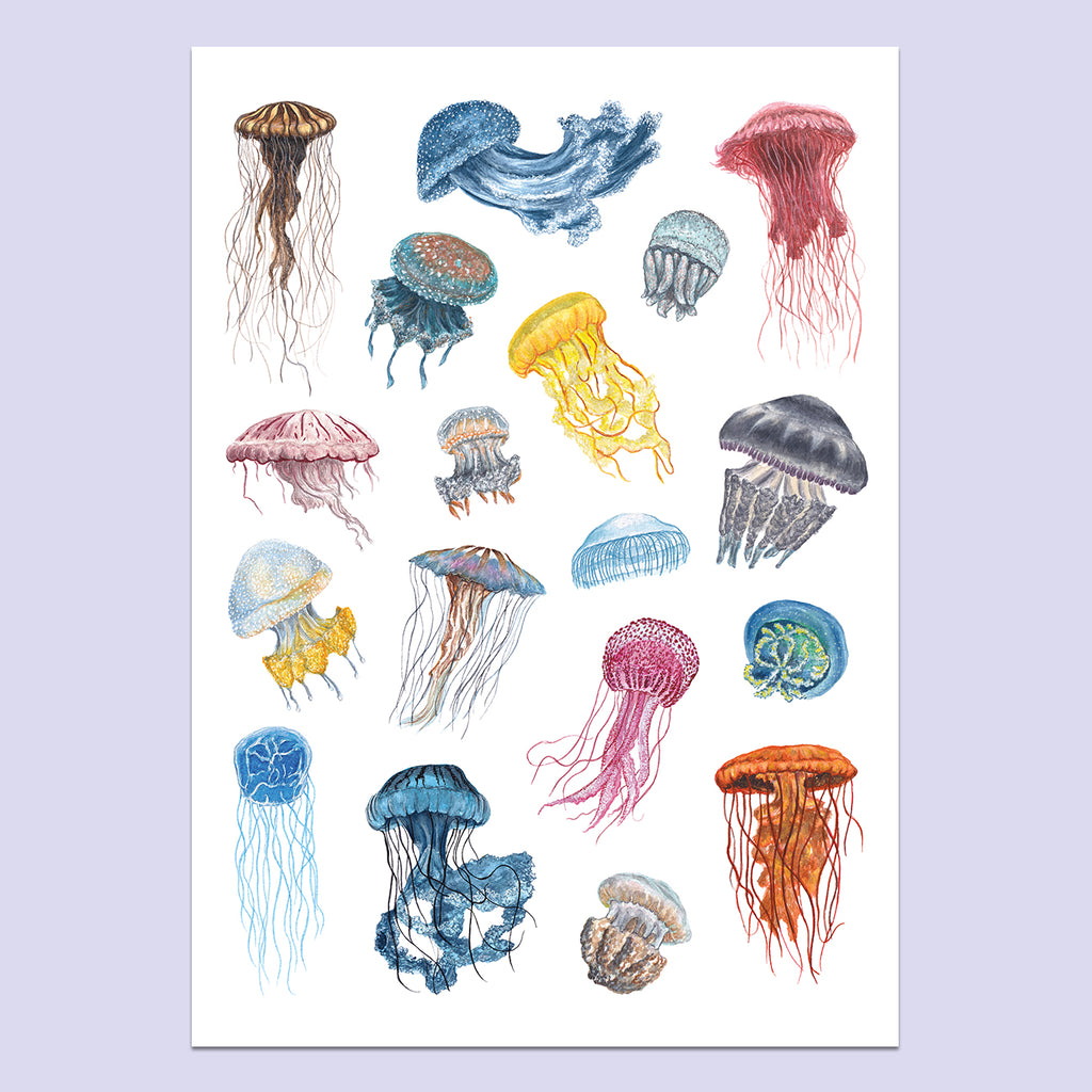 Jellyfish A3 Print image 0