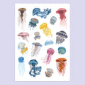 Jellyfish A3 Print image 0