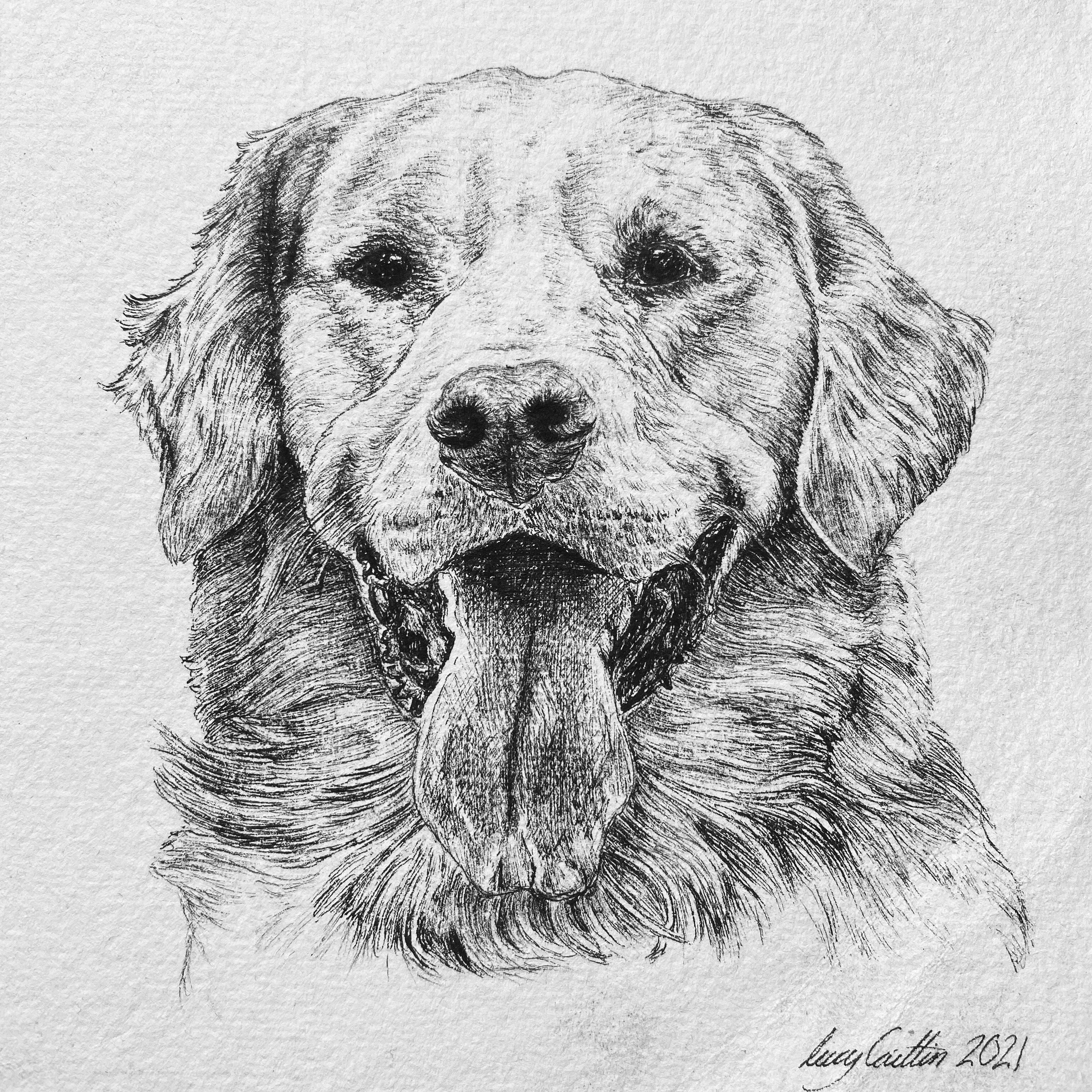 15cm Square Pet Portrait Commission image 4