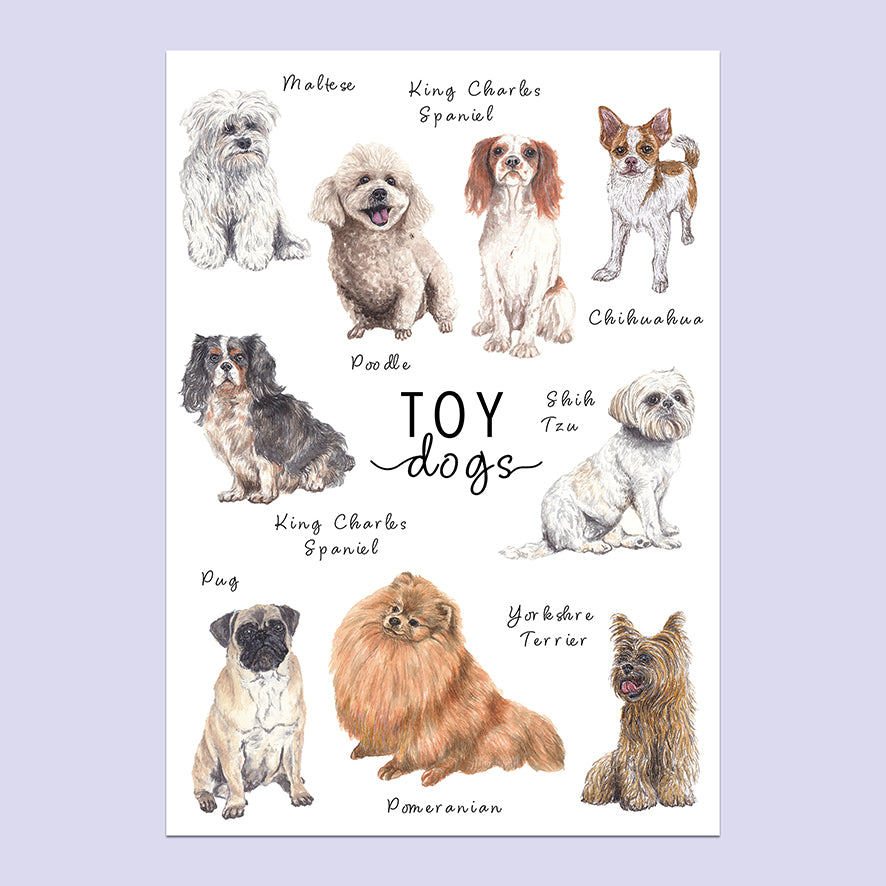Toy Dogs A5 Print image 0