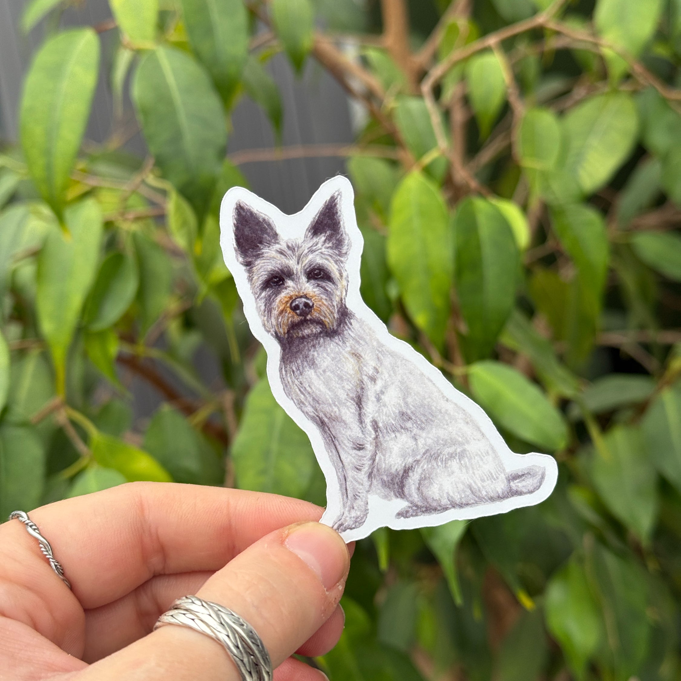 Terrier Dogs Sticker Pack image 3