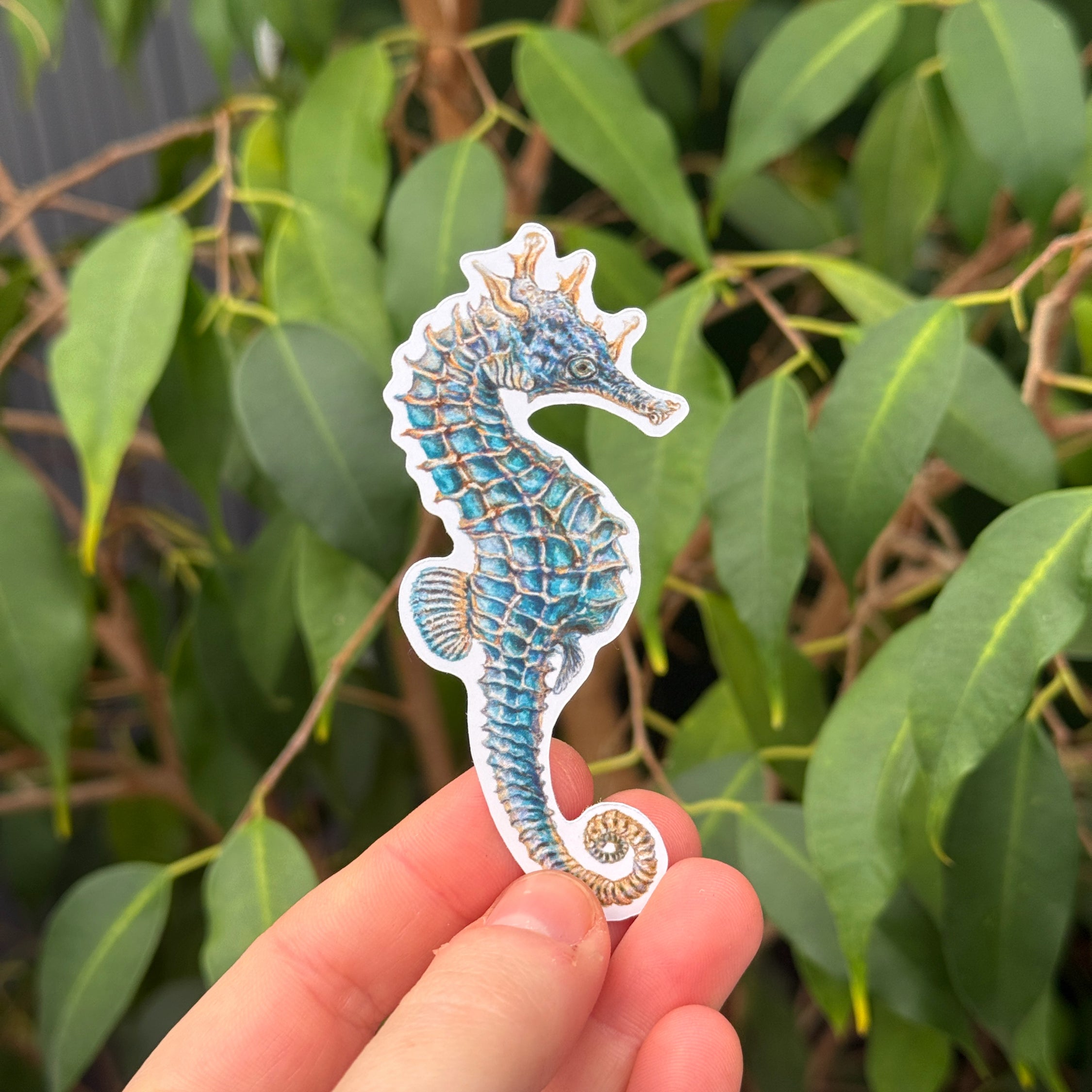Swimming Seahorses Sticker Pack image 2