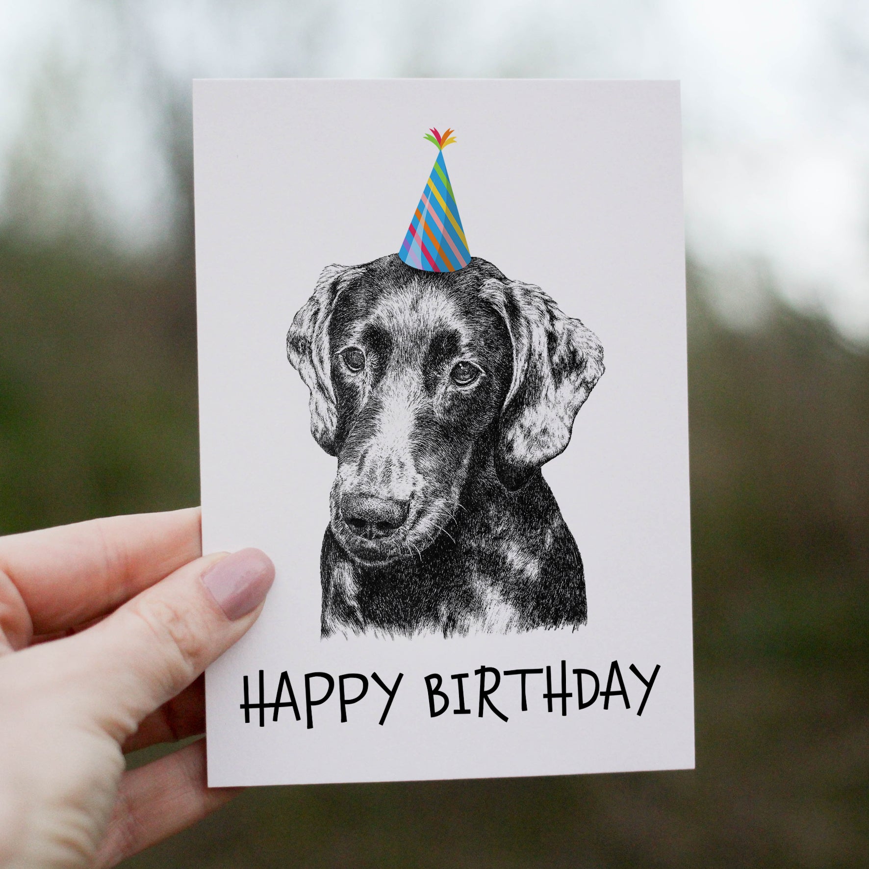 Miniature Dachshund (#1) Greetings Card image 0