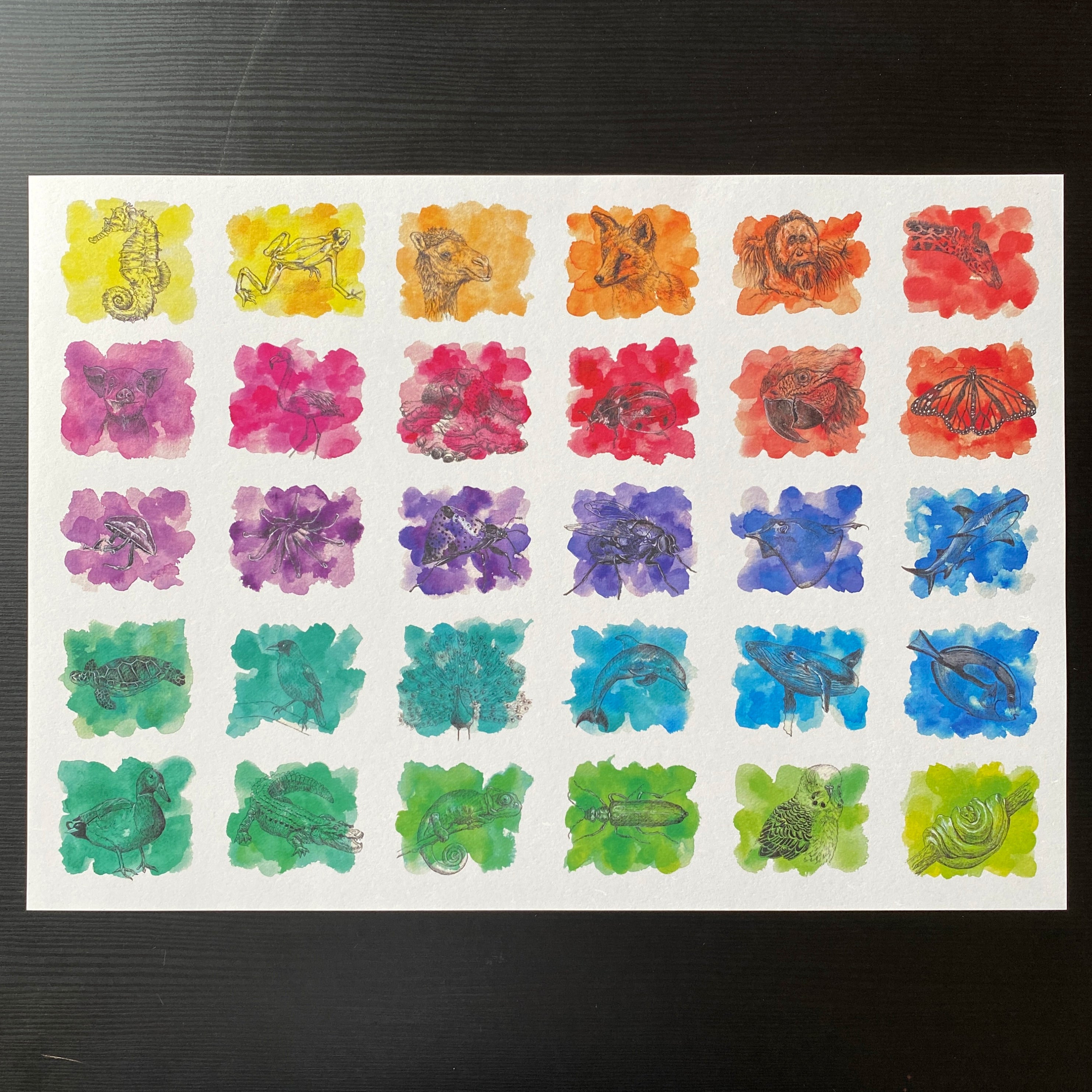 A3 Hue Animal Series image 1