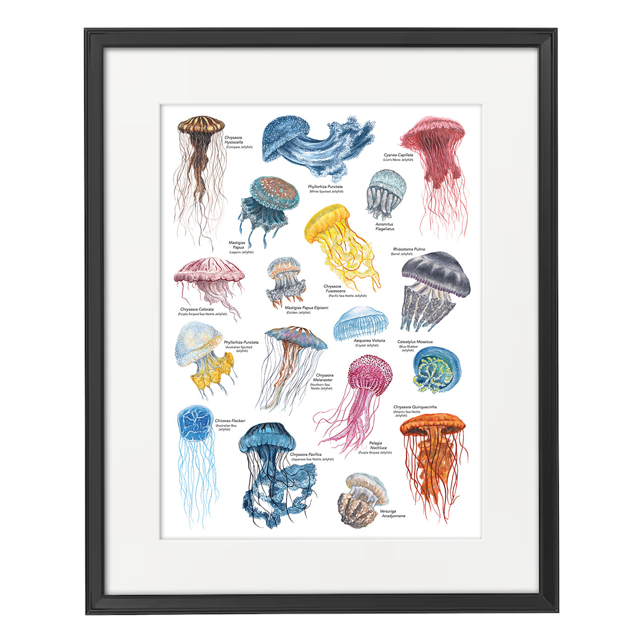 Jellyfish A3 Print image 4