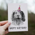 Springer Spaniel (#3) Greetings Card image 0