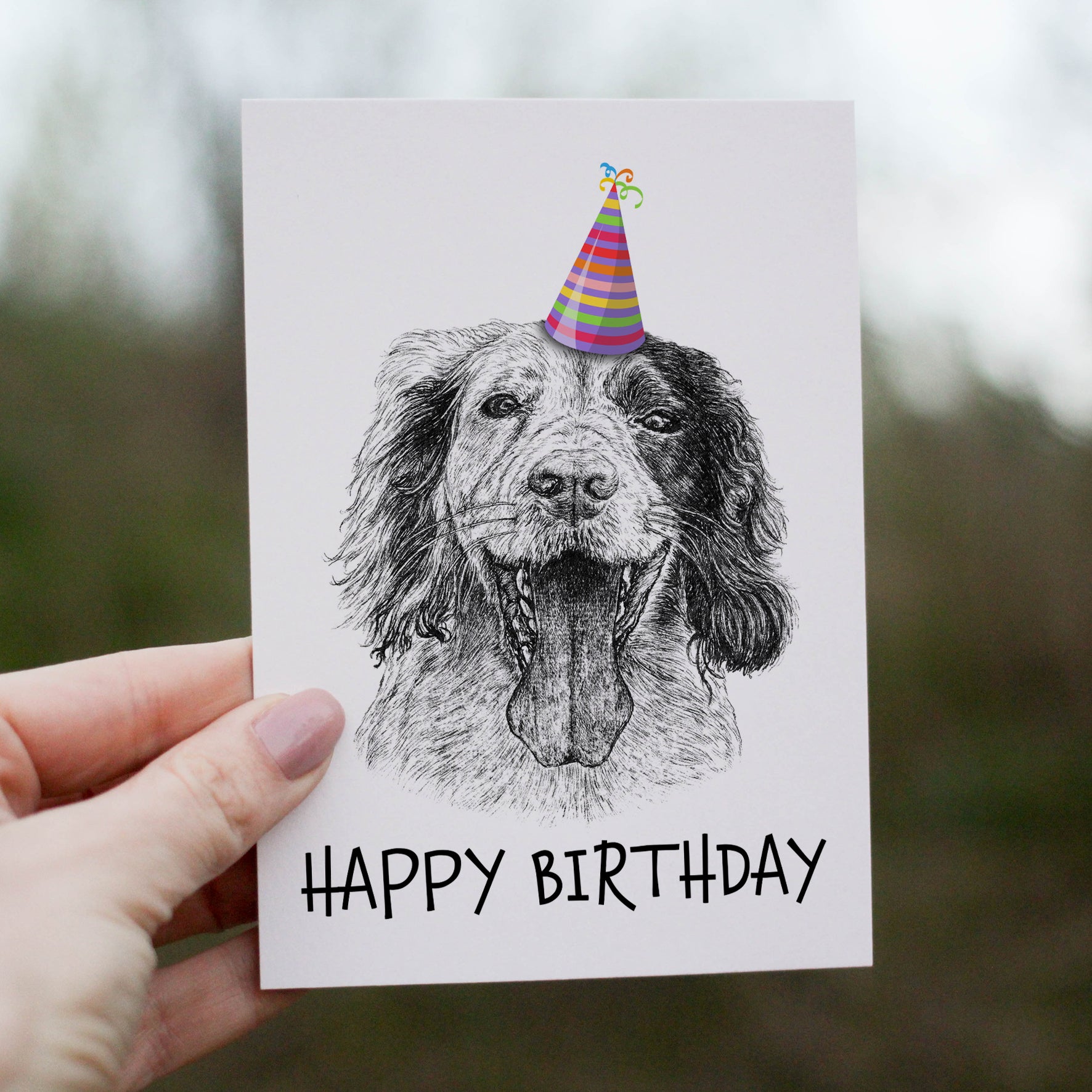 Springer Spaniel (#3) Greetings Card image 0