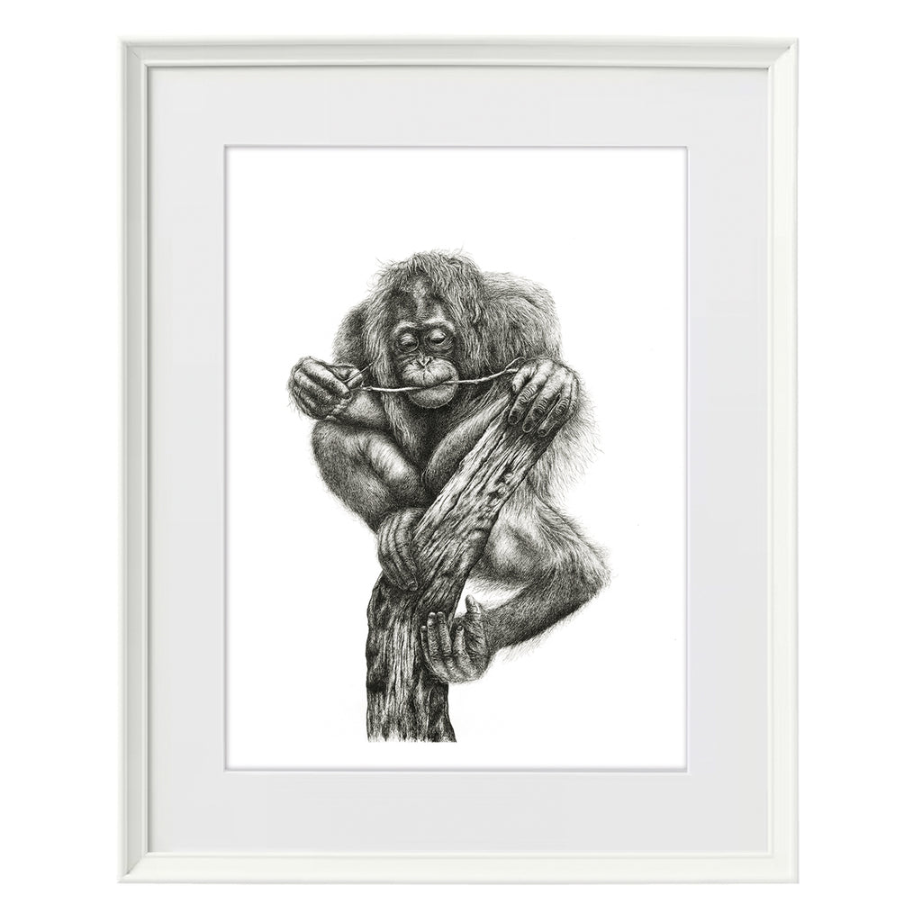 'The Last Branch' - A3 Limited Orangutan Inking Print image 3