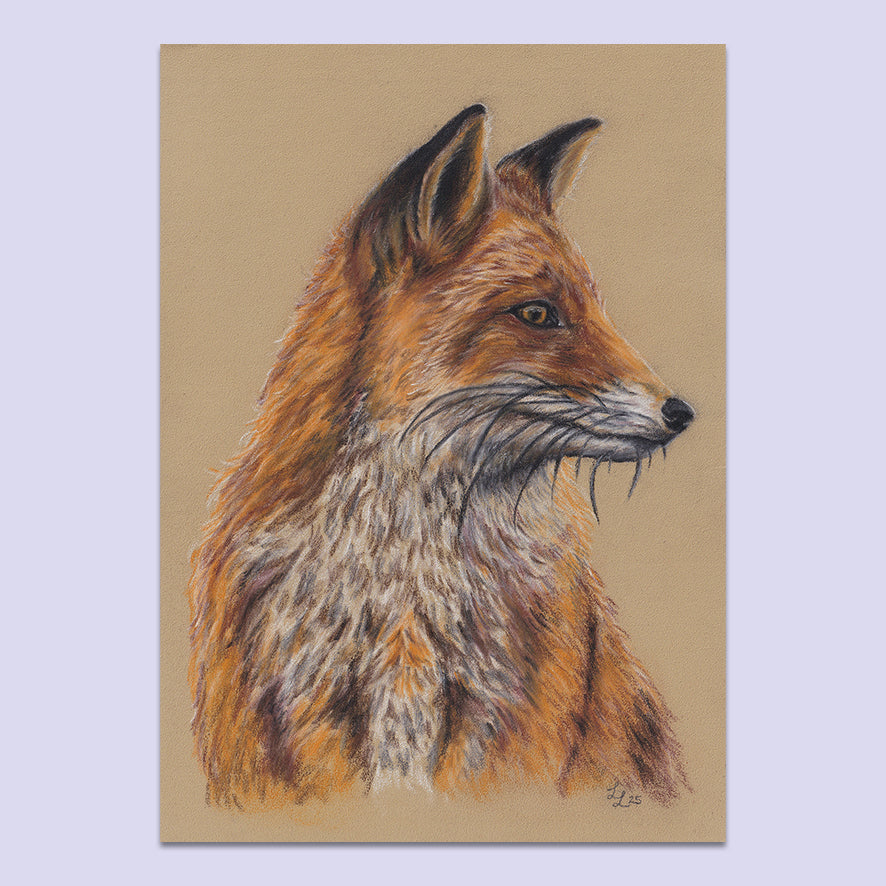 Forest Fox - A5 Original Pastel Artwork