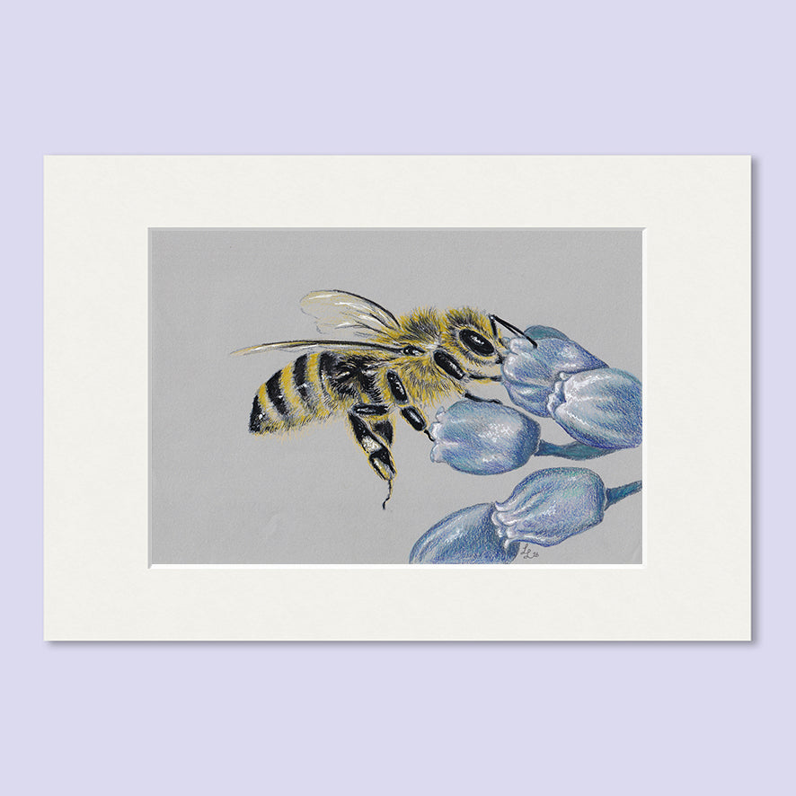 Honey Bee Flower #3 - A5 Original Pencil Artwork