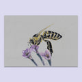 Honey Bee Flower #4 - A5 Original Pencil Artwork