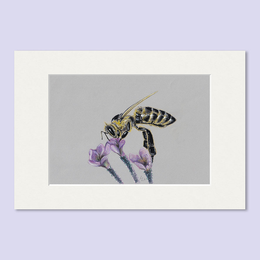 Honey Bee Flower #4 - A5 Original Pencil Artwork