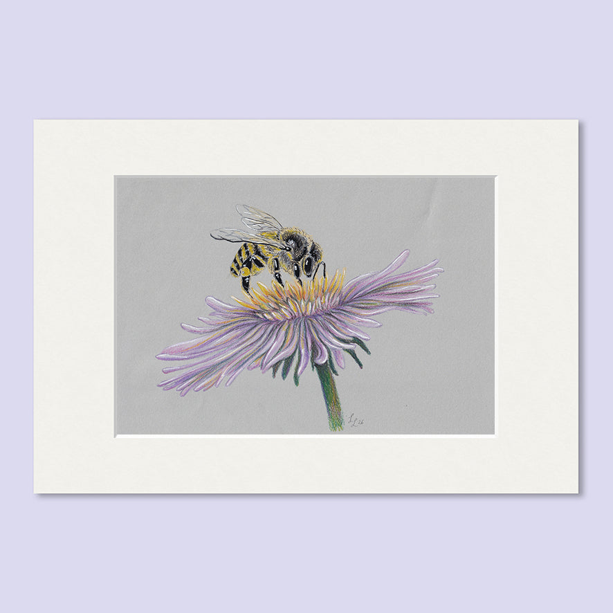 Honey Bee Flower #5 - A5 Original Pencil Artwork