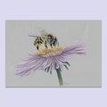 Honey Bee Flower #5 - A5 Original Pencil Artwork
