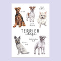 Terrier Dogs A5 Print