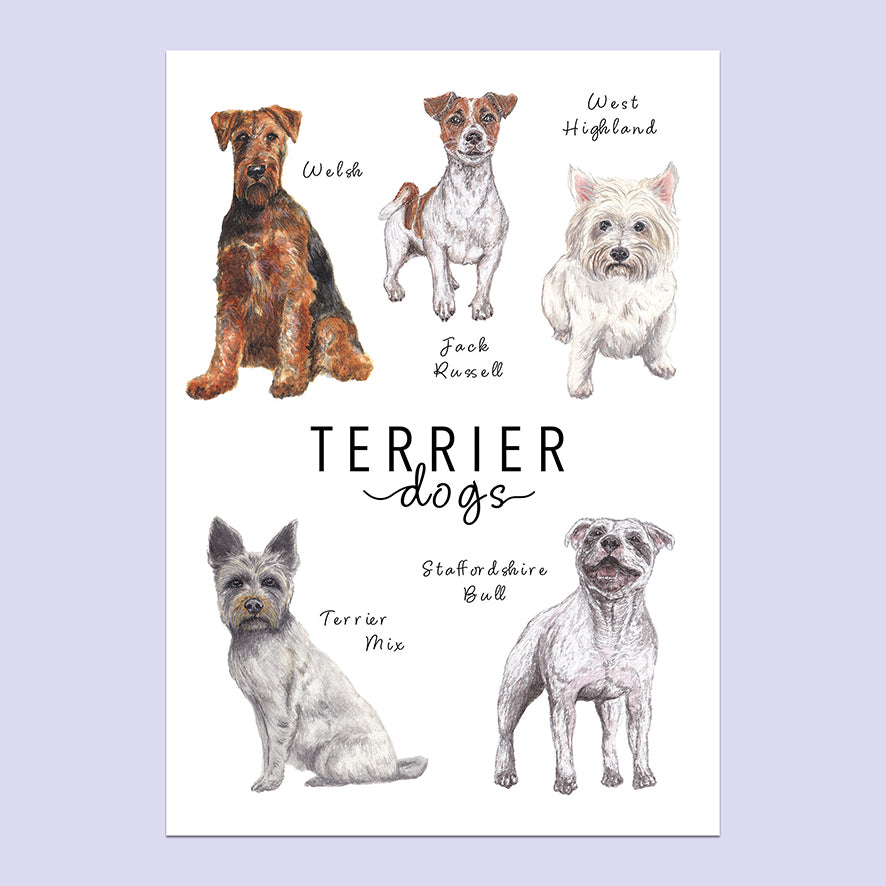Terrier Dogs A5 Print