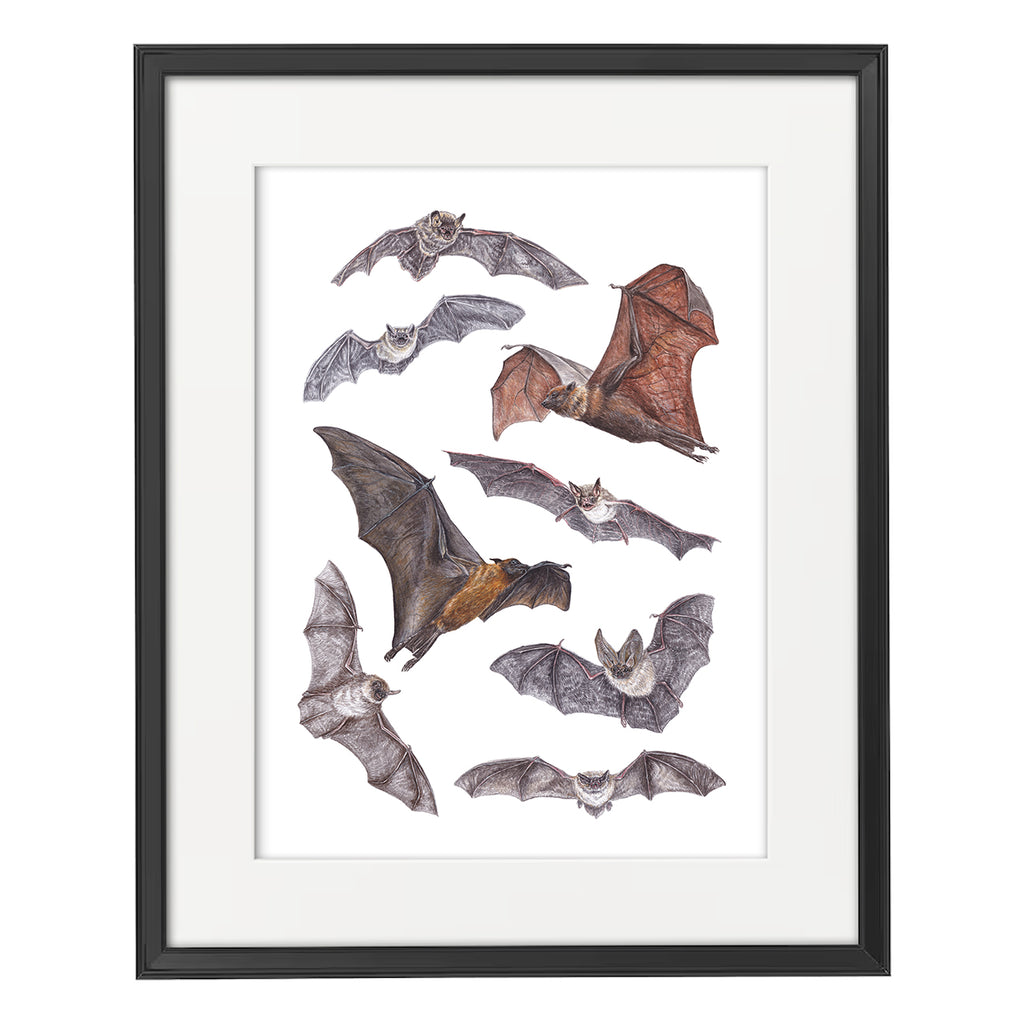 Bat A3 Print