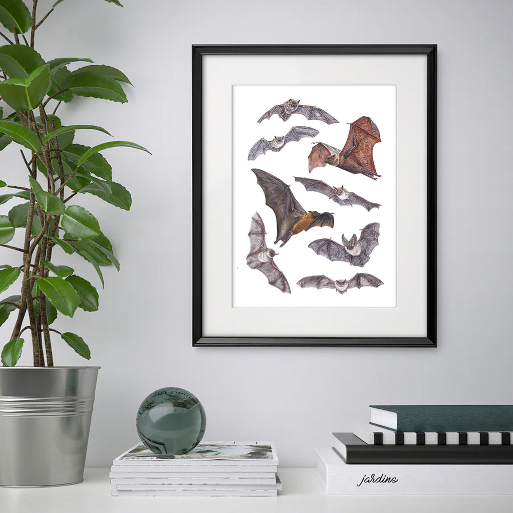 Bat A3 Print