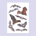 Bat A3 Print