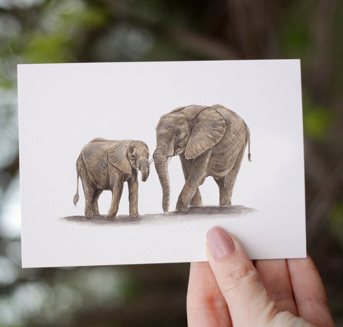 Elephants Mother's Day Greetings Card