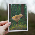 Mushroom Landscape Greetings Card