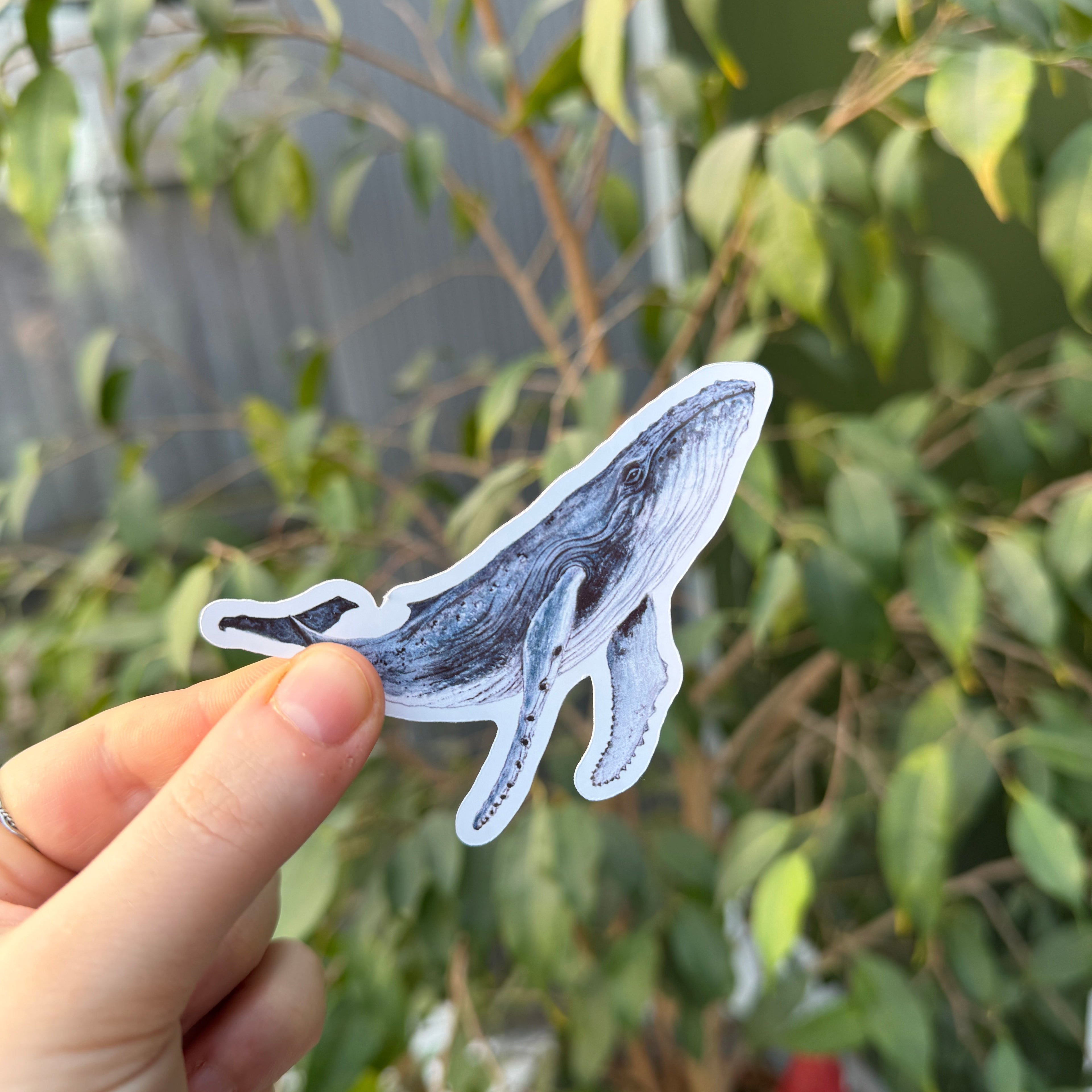 Hand holding a whale-shaped sticker in front of green foliage