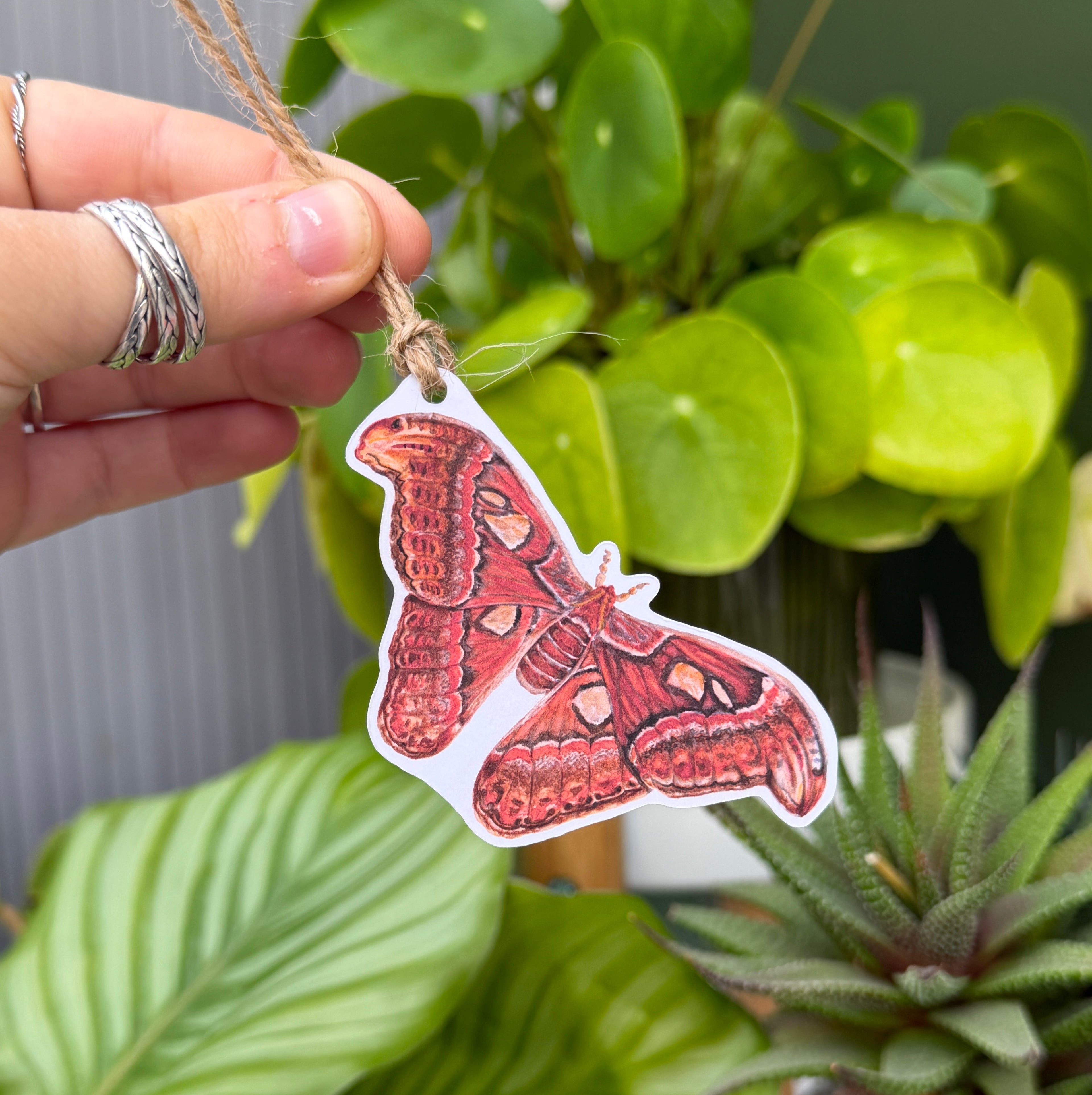 Moth Gift Wrap and Tag