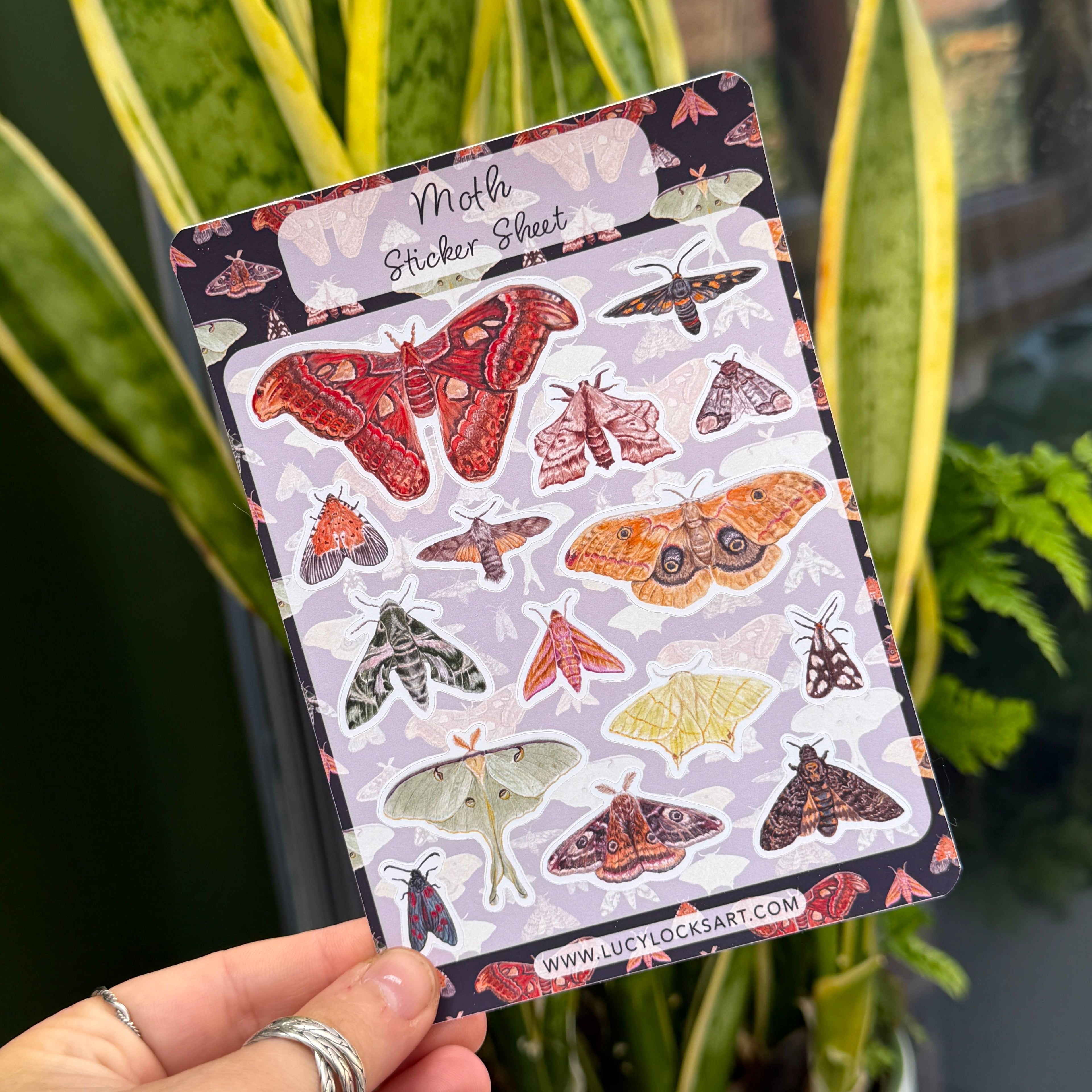 Moth Sticker Sheet