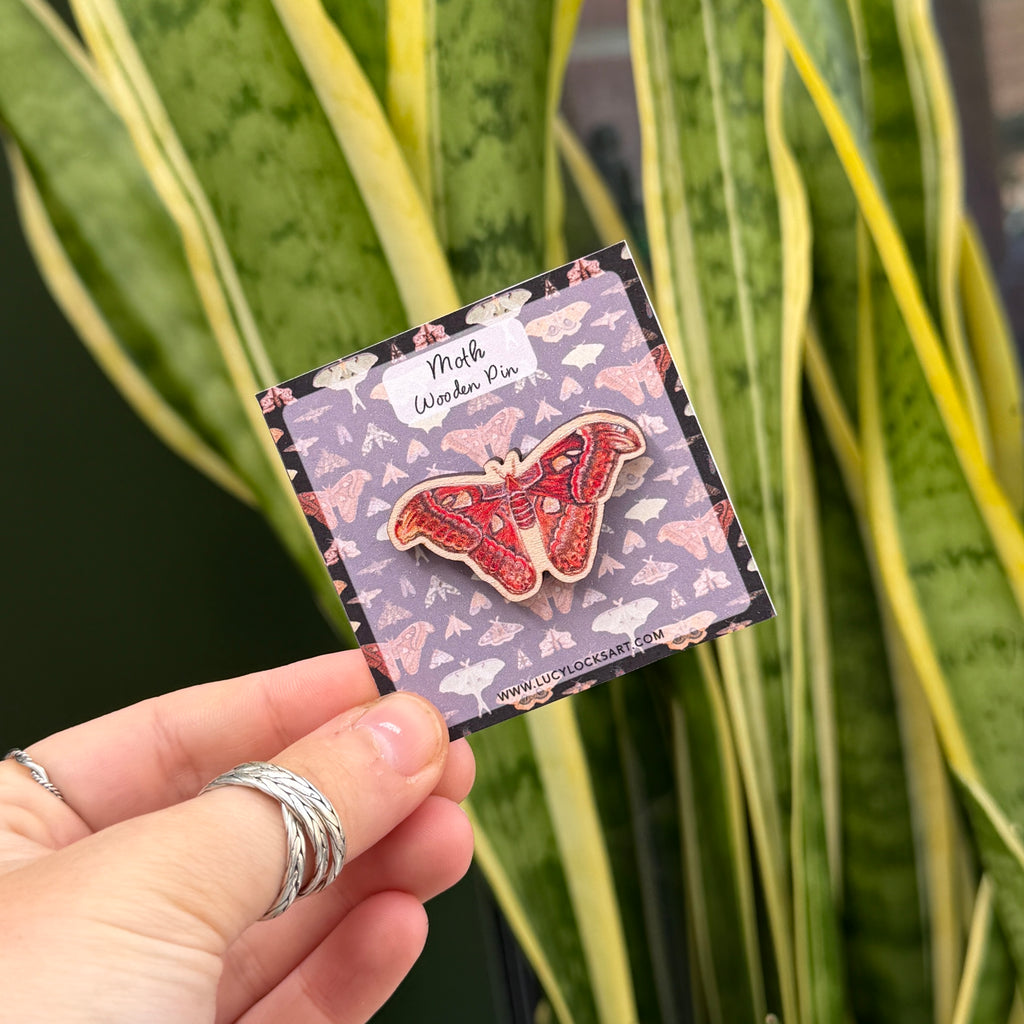 Moth Wooden Pin - Atlas Moth