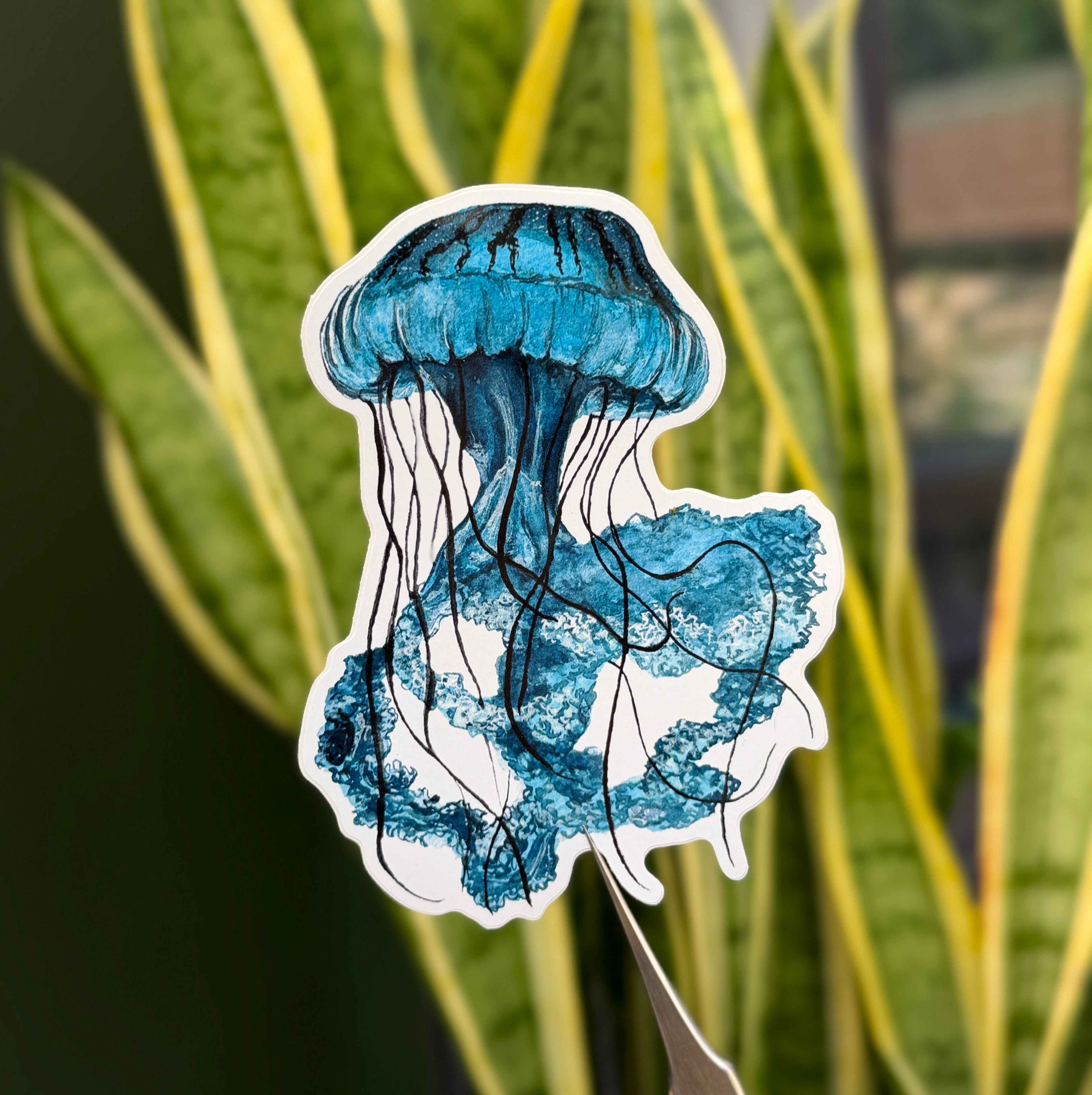 Japanese Sea Nettle Jellyfish - Vinyl Sticker