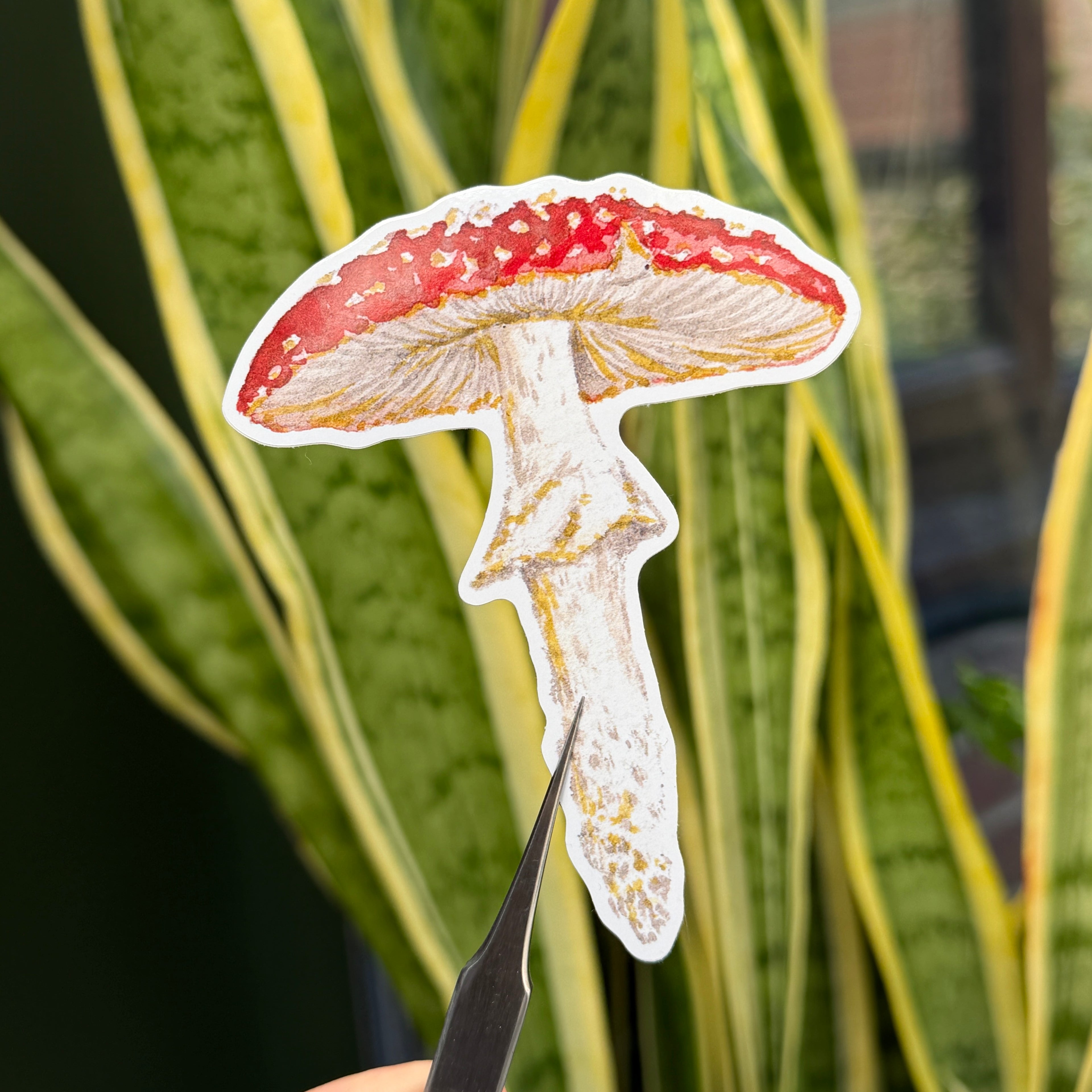 Fly Agaric Mushroom - Vinyl Sticker