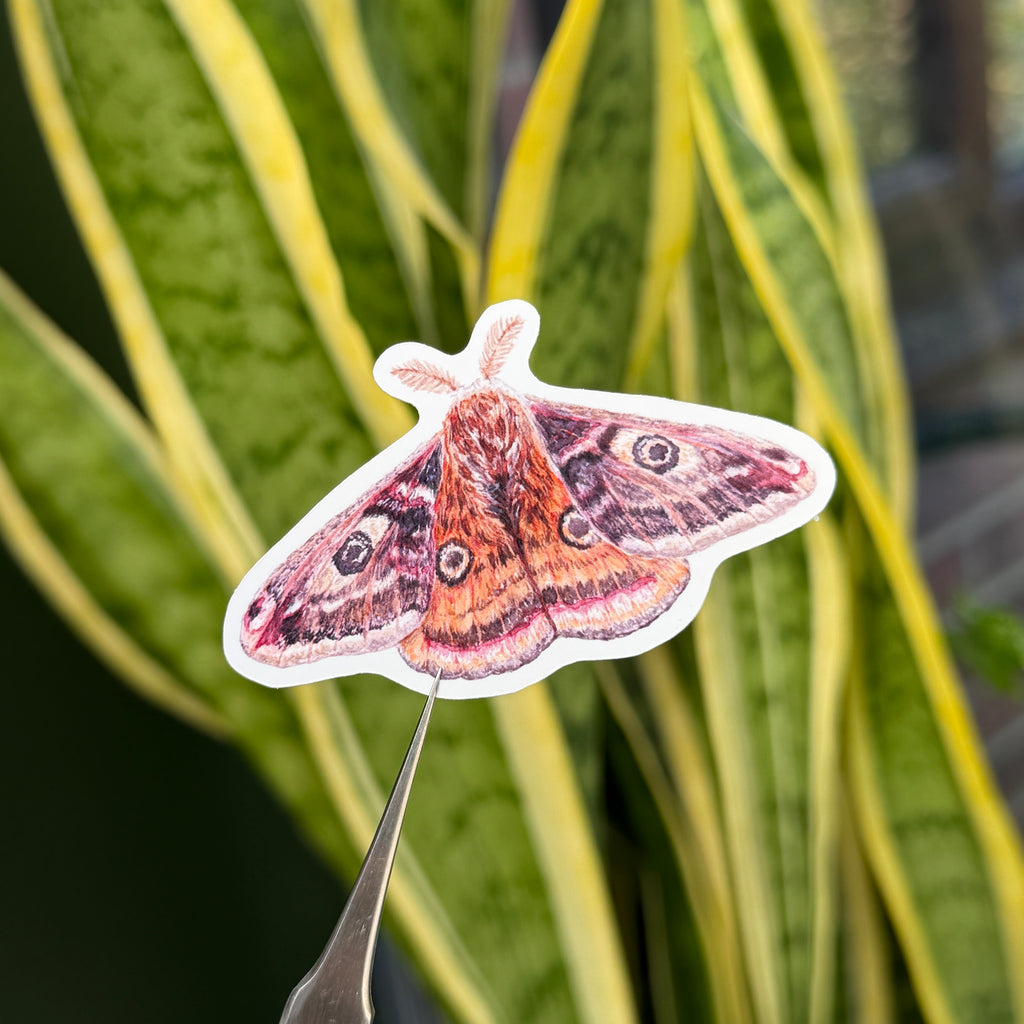 Midnight Moths Sticker Pack