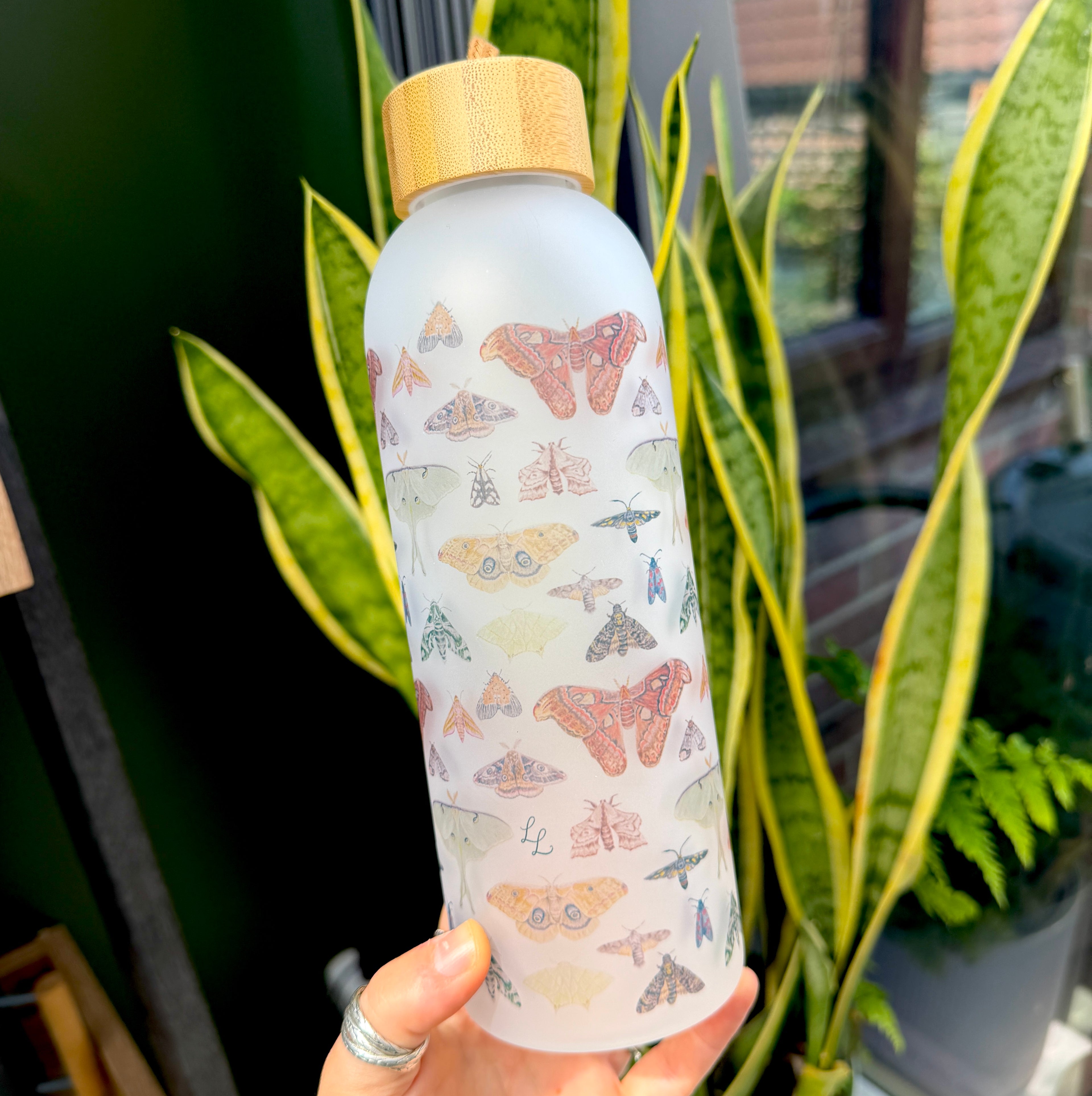Moth25oz Glass Water Bottle