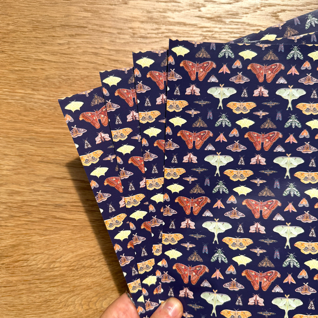 Moth Journal Bundle